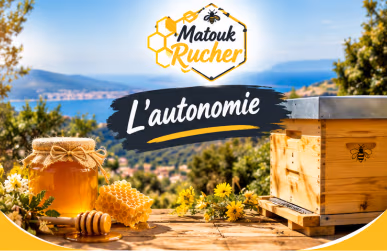 L'autonomie
