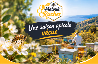 Une saison apicole vécue